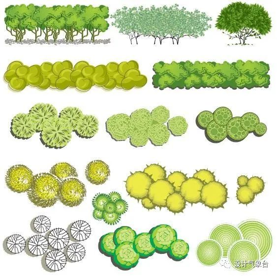 青春系彩平植物素材-52