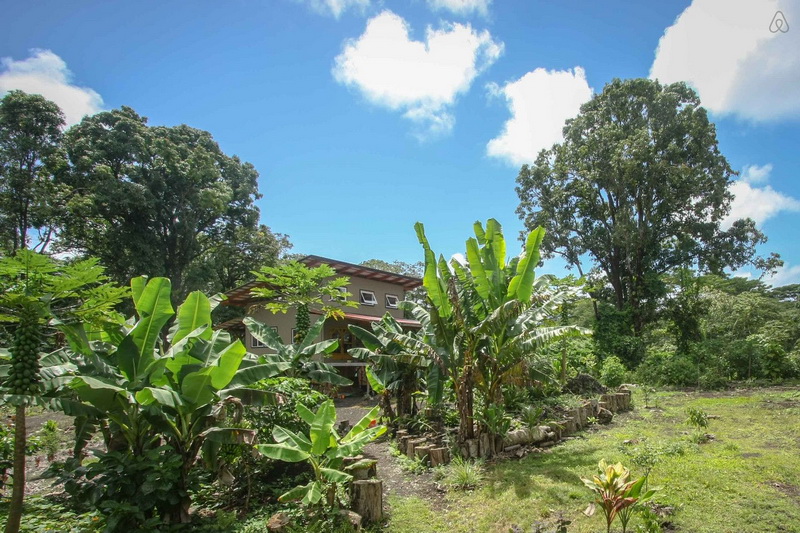 夏威夷木桩木屋丨美国夏威夷-18