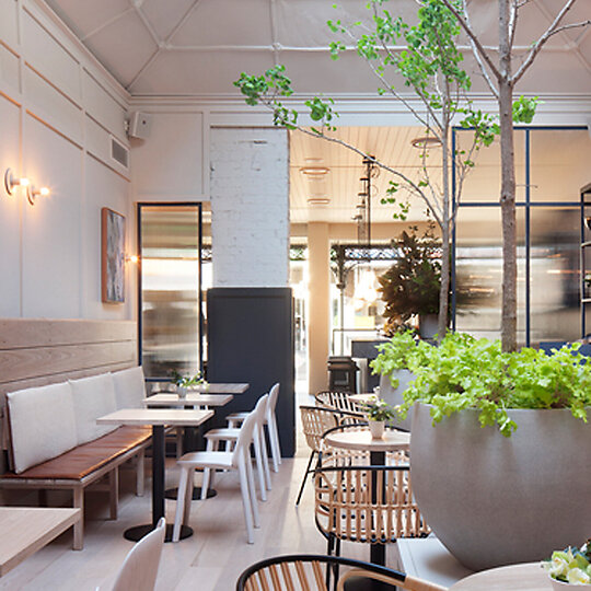 Prahran Residence by Hecker Guthrie | Australian Interior Design Awards-16