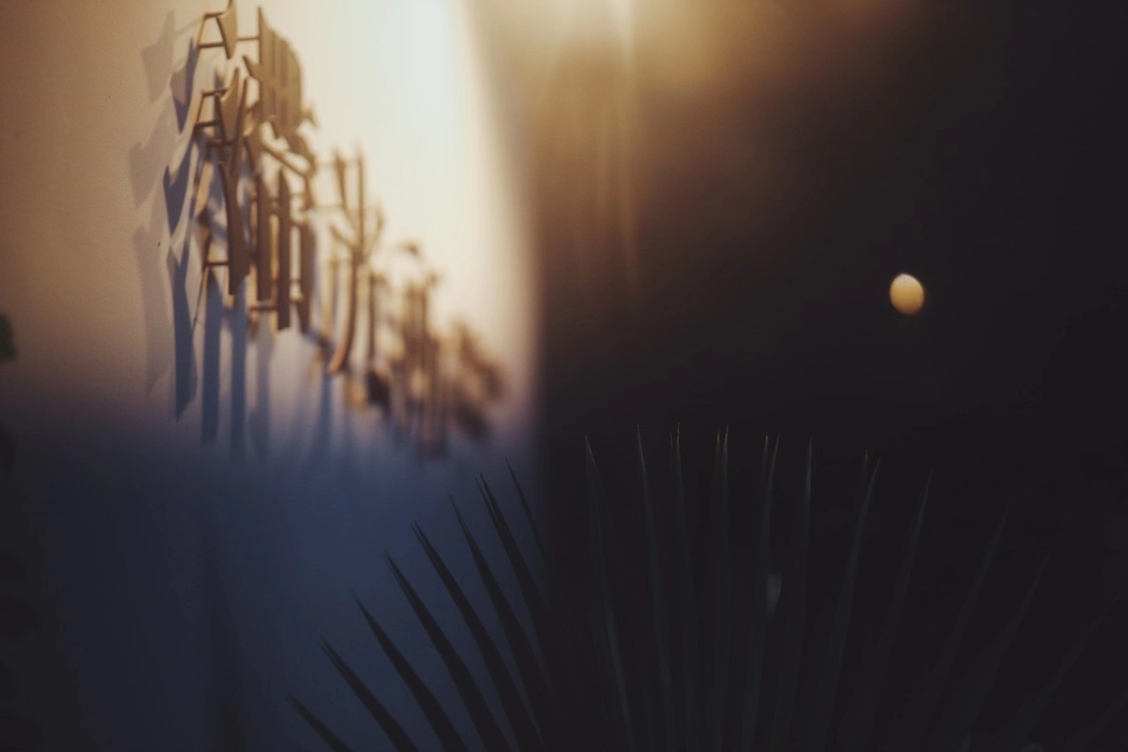 暖光设计公司办公室丨中国泉州-11