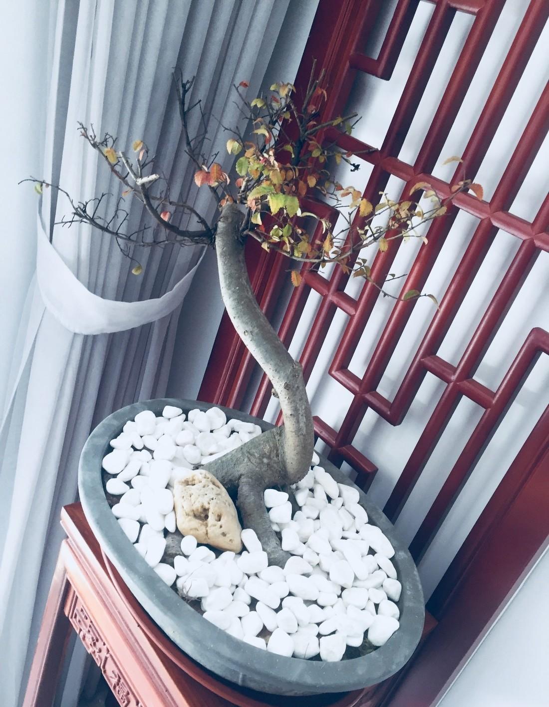 庐山国际贺先生平层-16