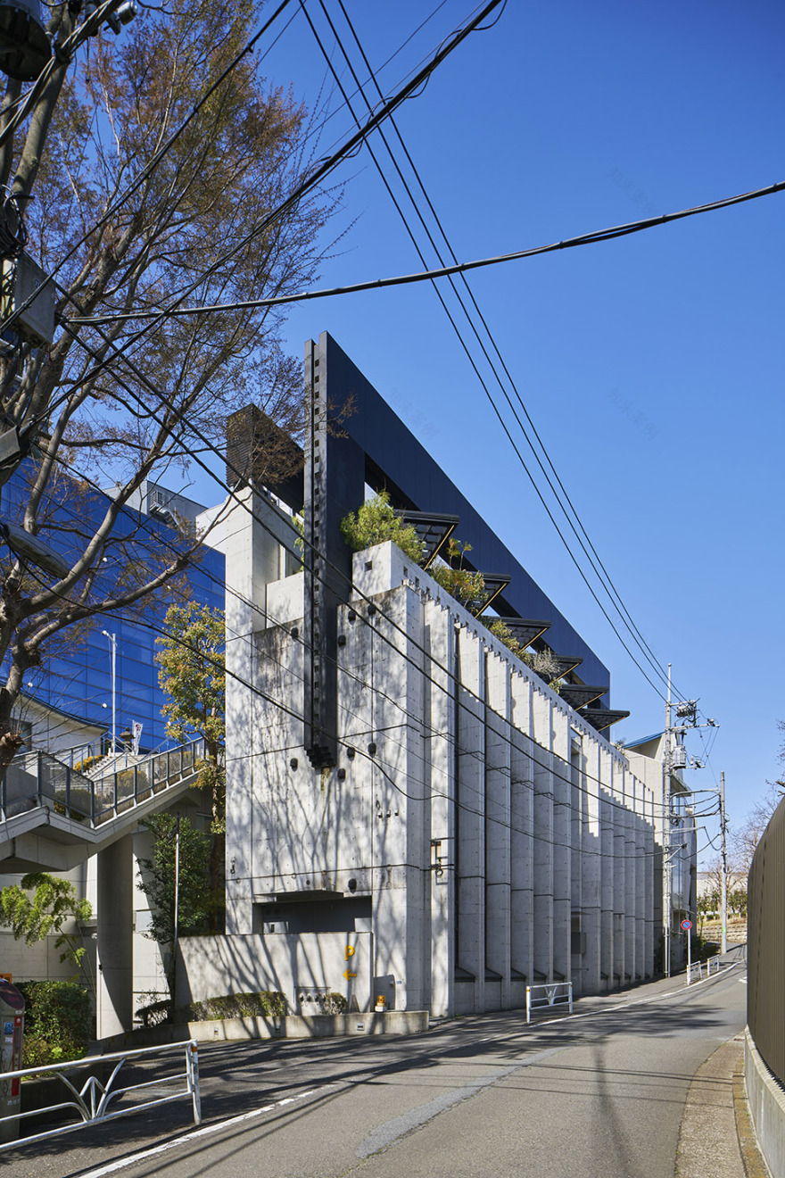 桑泽设计研究所新教育设施丨日本丨moss.-3