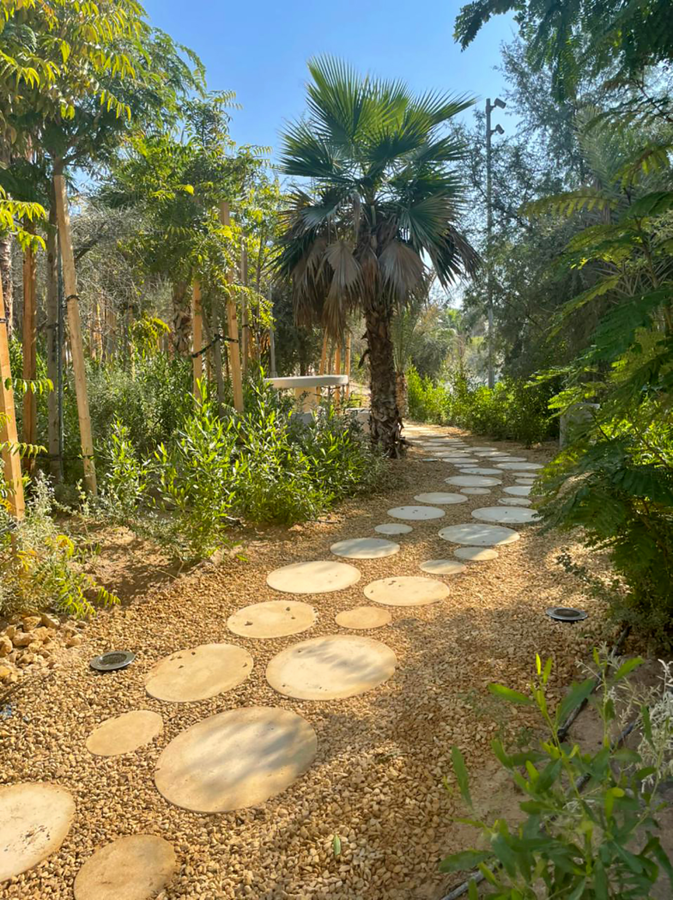 阿布扎比 Al Fay 公园丨阿联酋阿布扎比丨丹麦 SLA 事务所-23