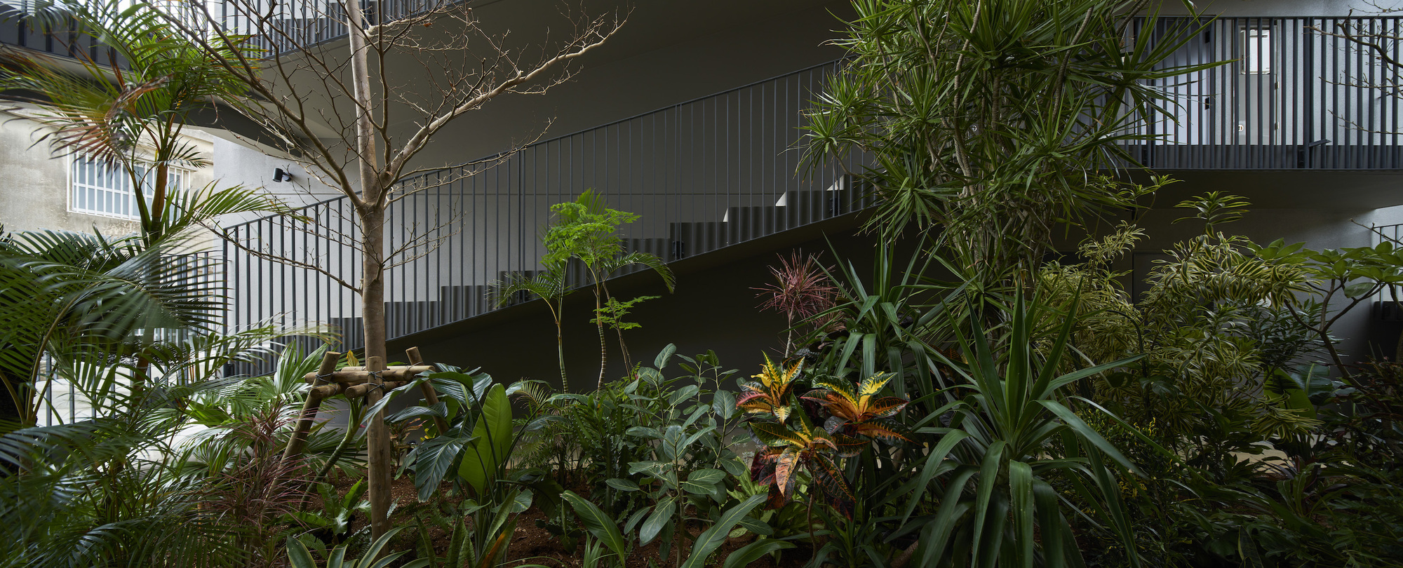 N 公寓丨日本丨Yohei Kawashima Architects-39