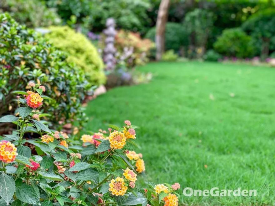 钱湖比华利 | 野性自然式花园的改造艺术-53