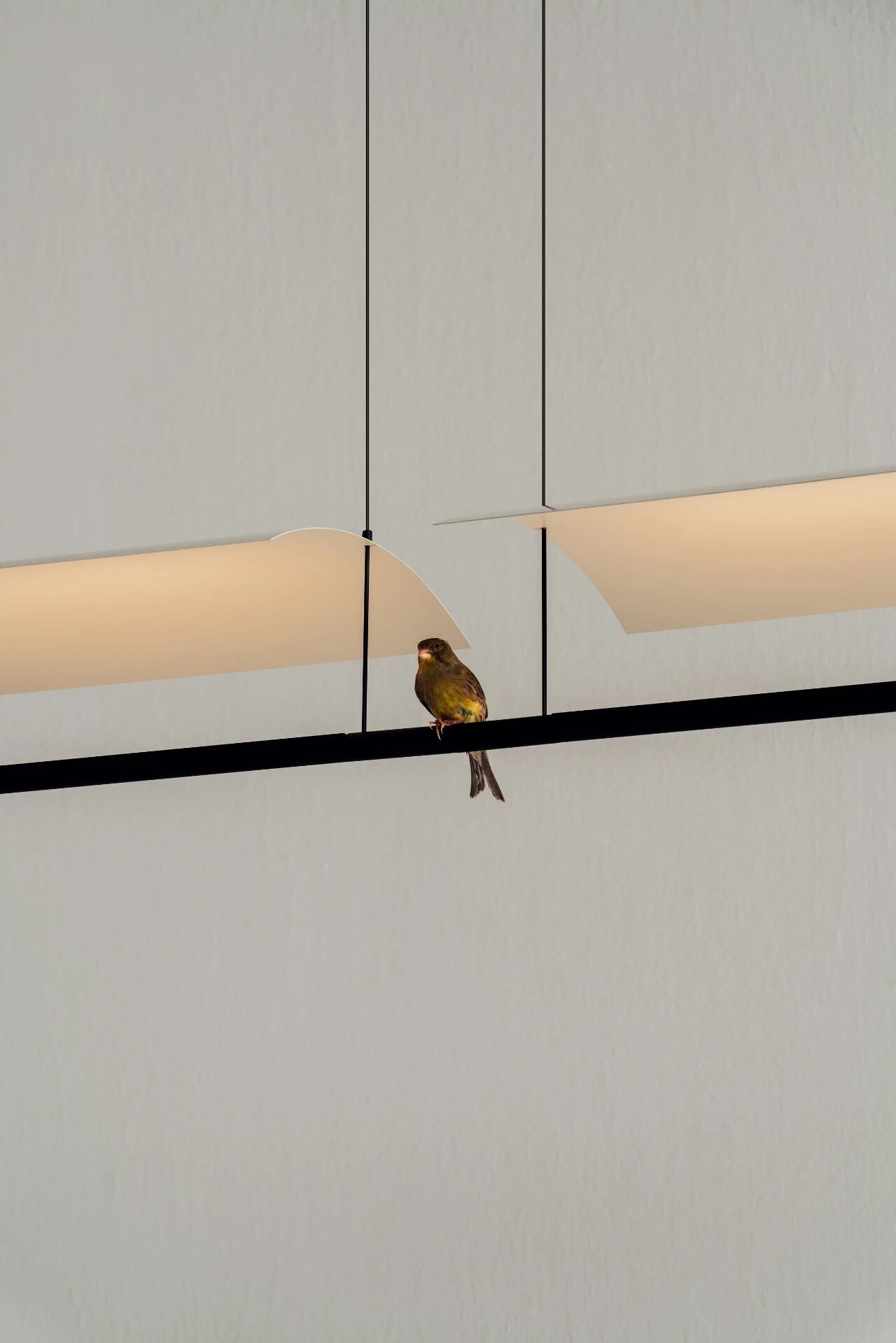 Fiat Lu·3灯光装置丨西班牙马德里丨Antoni Arola,Simon-85