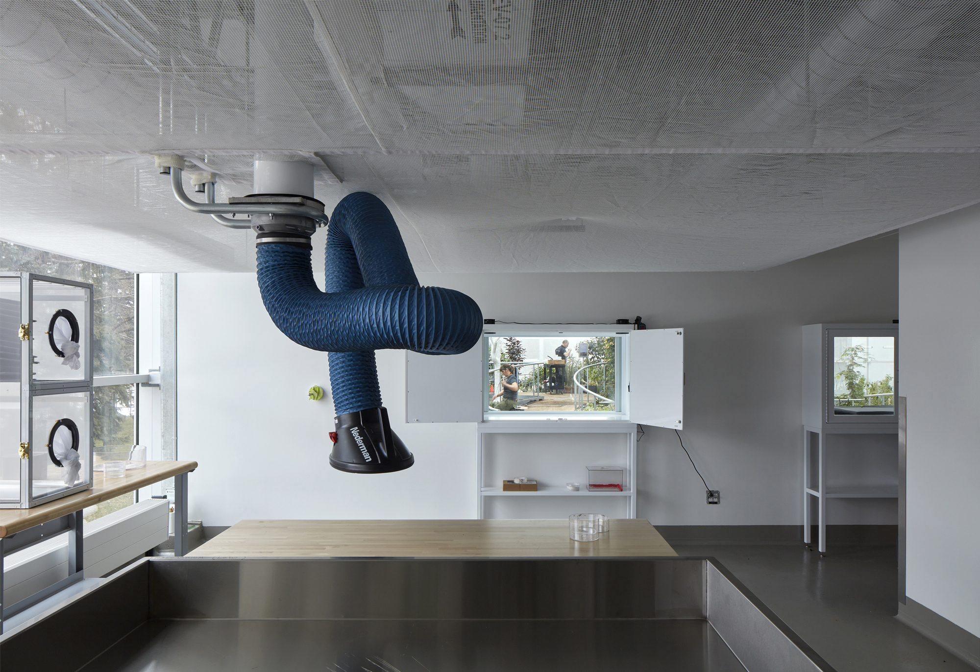 蒙特利尔昆虫馆丨加拿大蒙特利尔-20