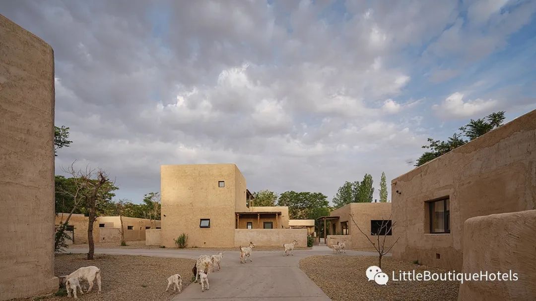 南岸中卫度假酒店丨中国中卫丨南岸创始人-1