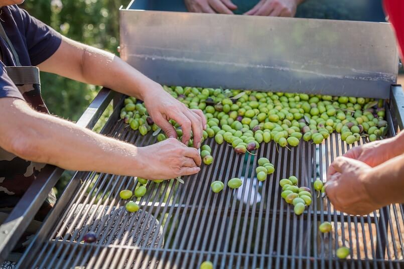 丨克罗地亚丨克罗地亚建筑师Nikola Bašić-58