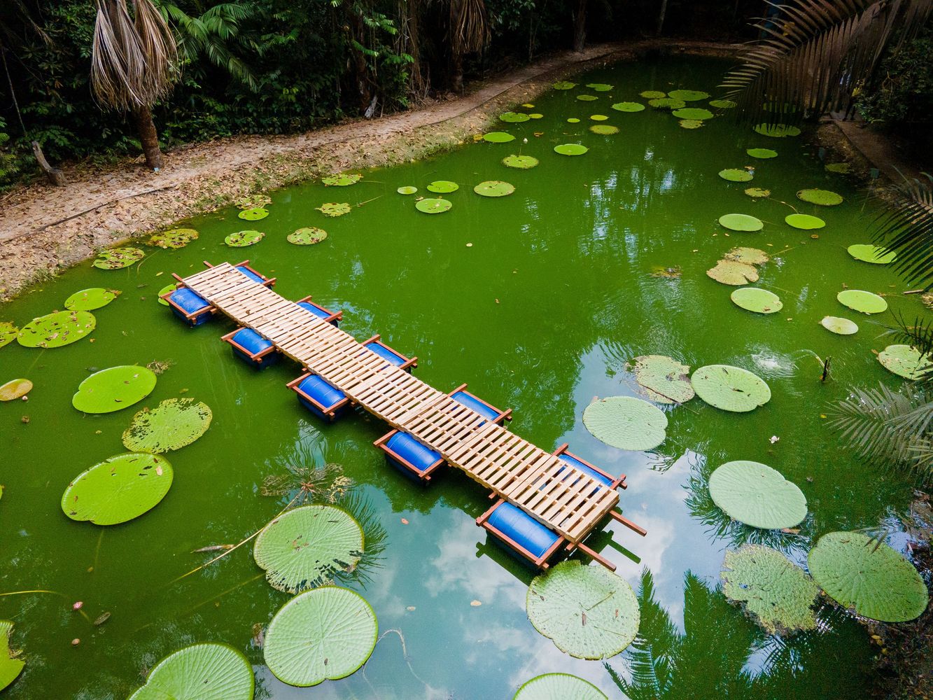 巴西玛瑙斯浮桥丨Colectivo Aqua Alta-28