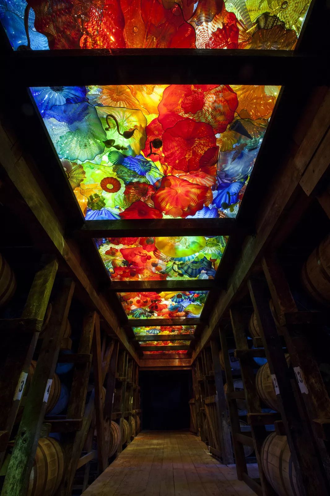 梦幻般的光与色彩 | Dale Chihuly 的玻璃艺术世界-31