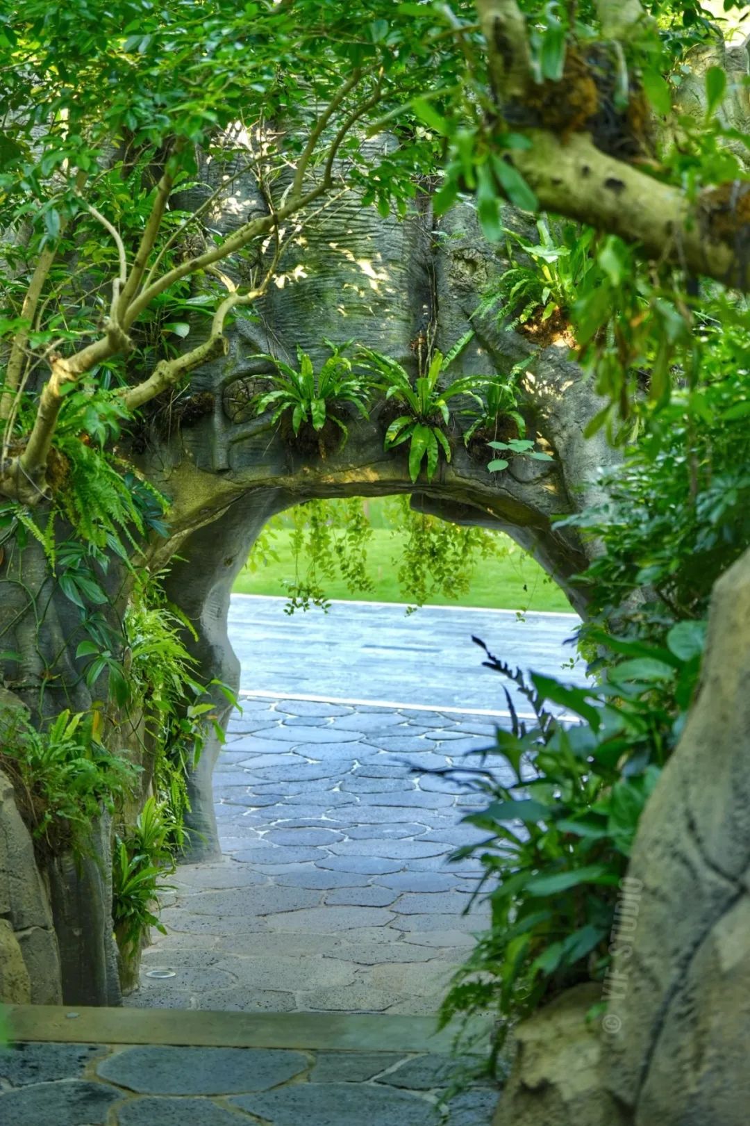 广州云萝植物园丨中国广州丨广州普邦园林股份有限公司-12