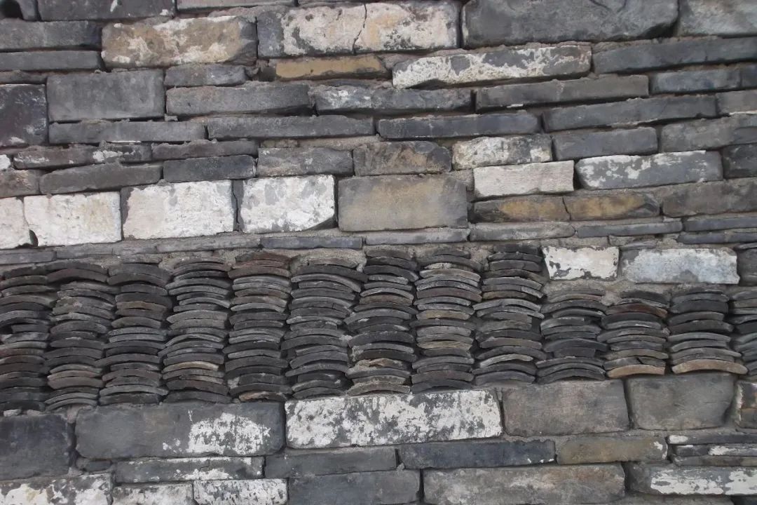 中国古动物馆(保定自然博物馆)丨中国保定丨王澍-114