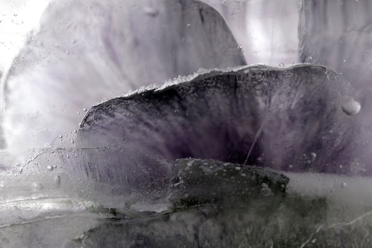 奇异梦境 | 摄影师 Namiko Kitaura 的艺术世界-39