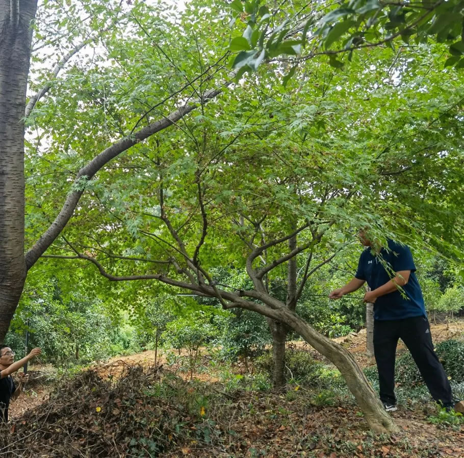 杭州·云翠金澜府丨中国杭州丨上海澜道佑澜环境设计有限公司-55