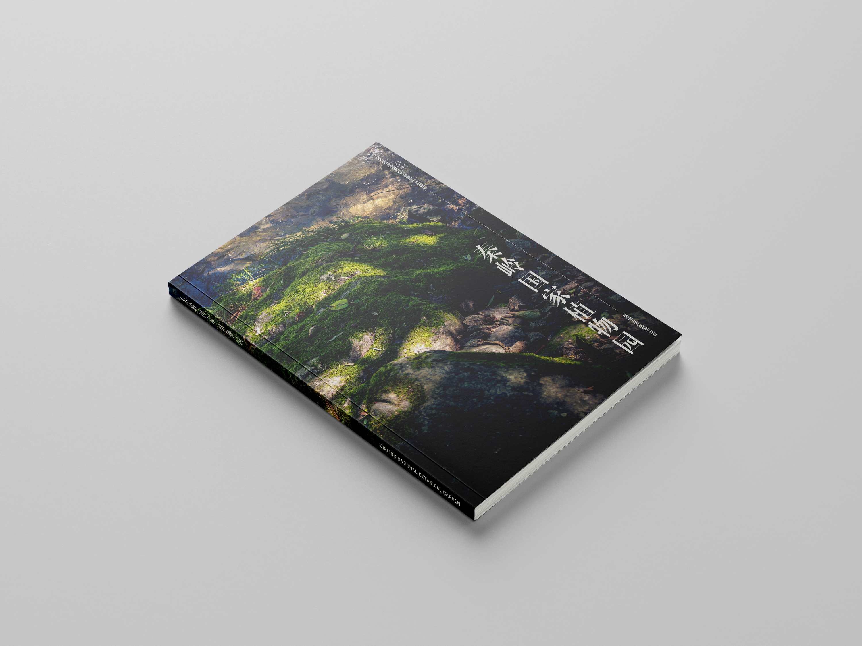 秦岭国家植物园摄影及宣传册设计丨美格锐西安办公室-6