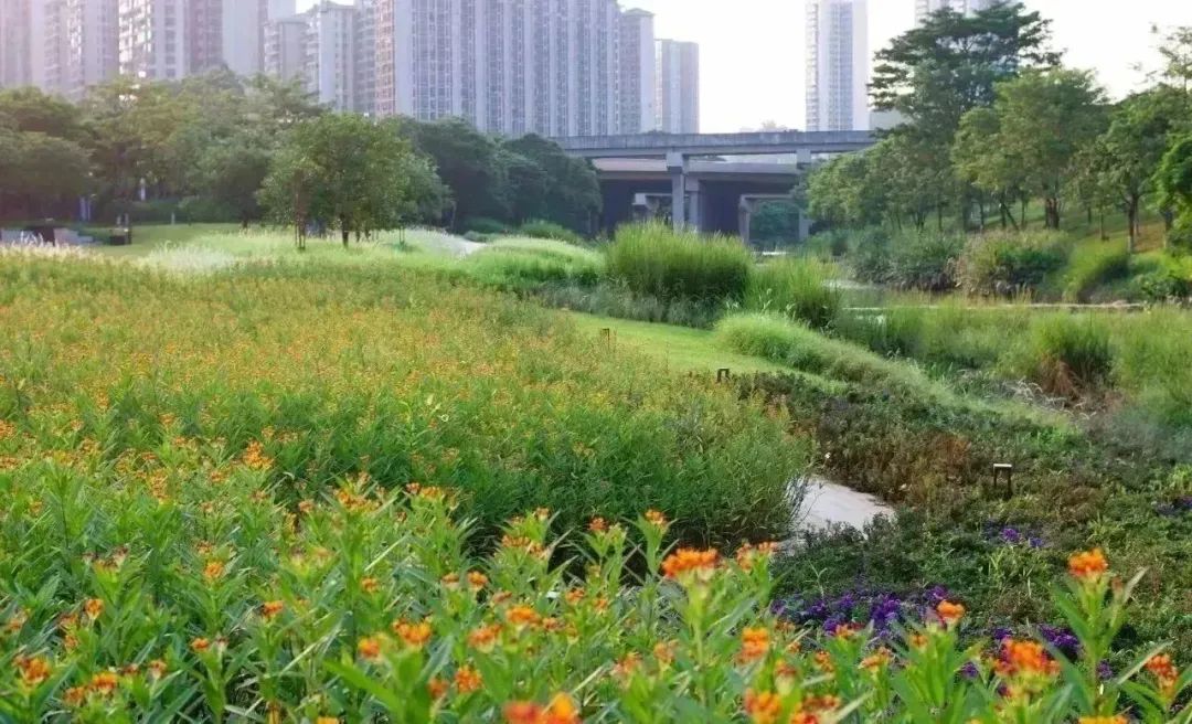 广州南岗河生态修复项目丨中国广州丨AECOM团队-21