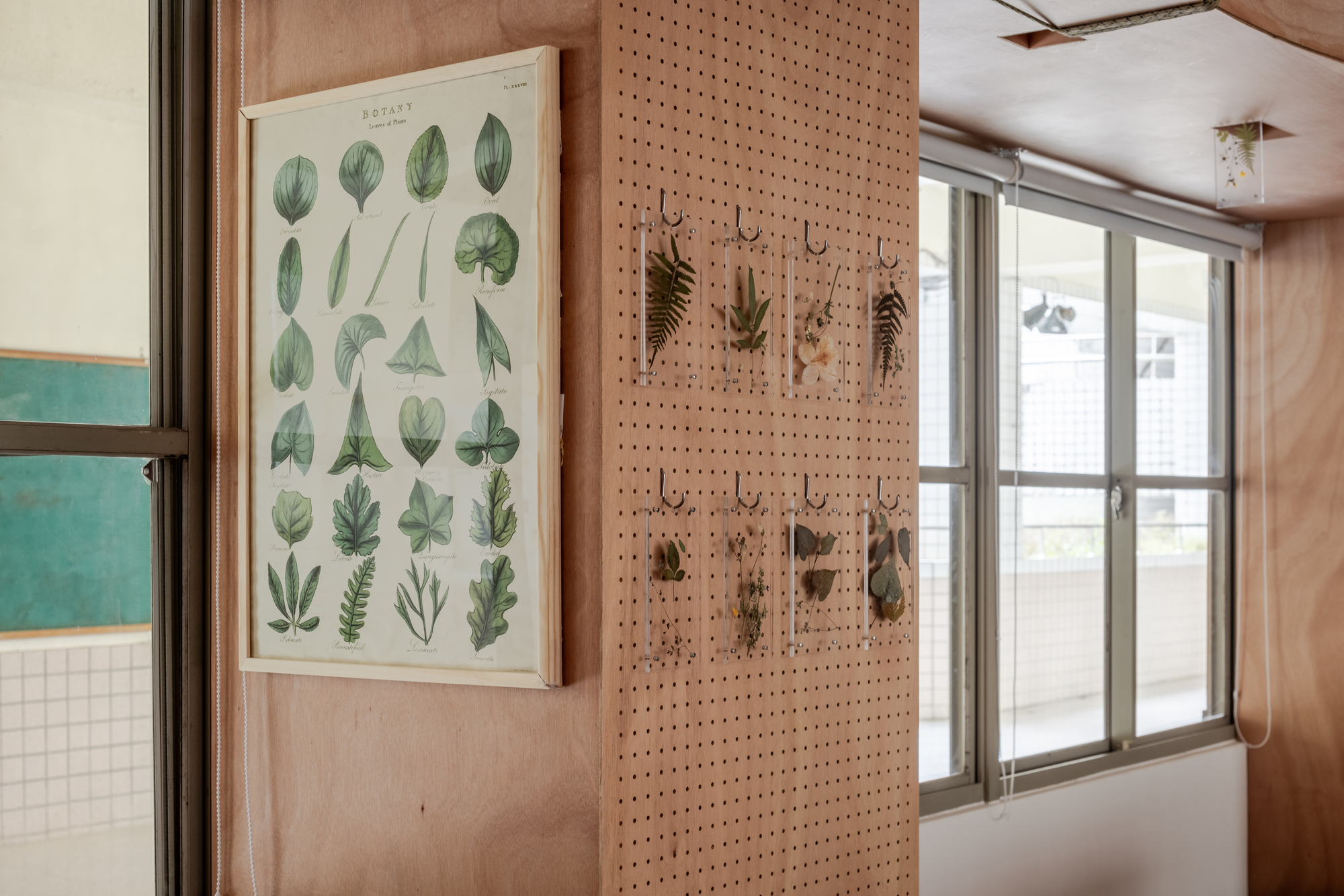 Qingshan Forest Junior High School Classroom / 317designstudio-47