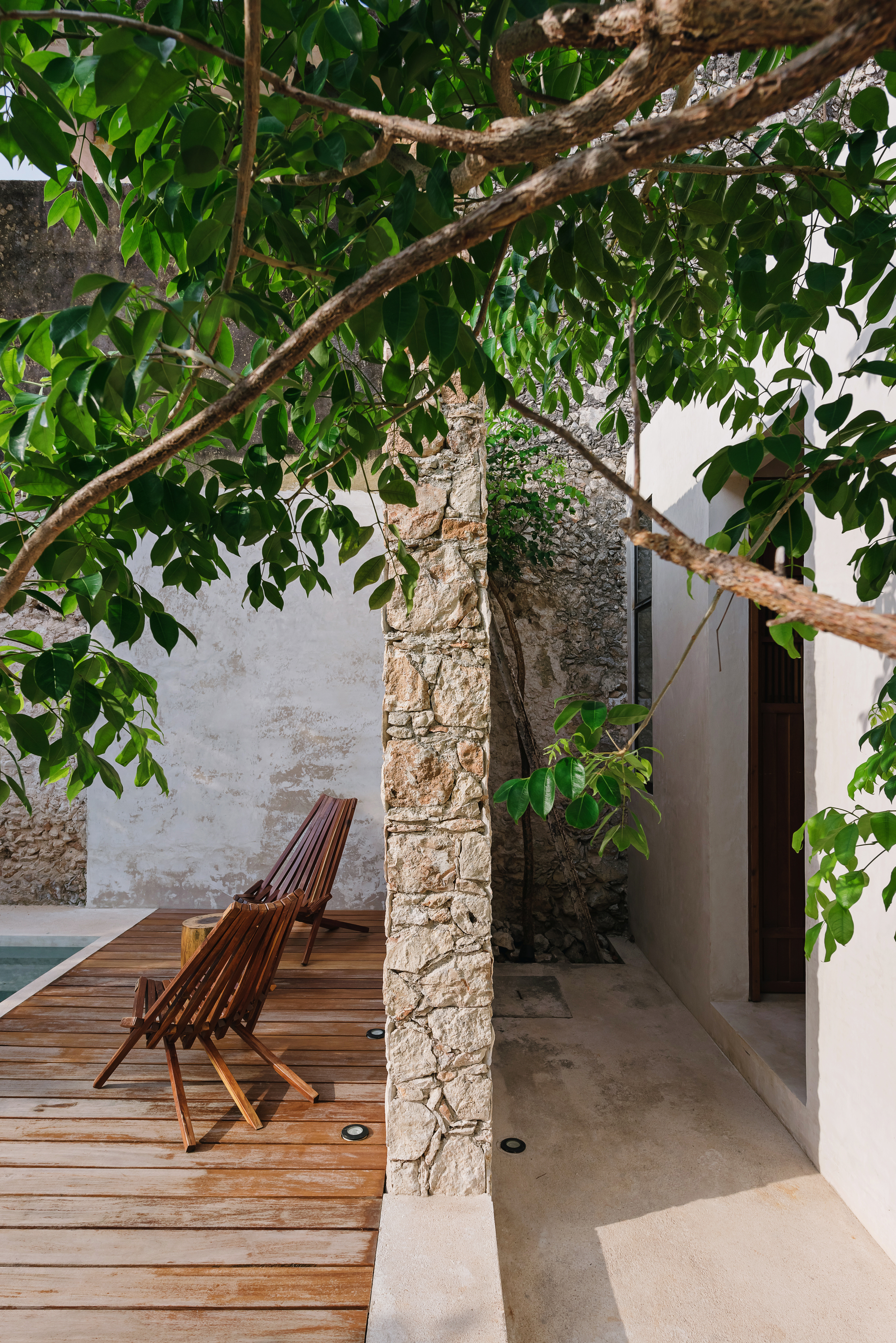 Taller Me·icano de Arquitectura,别墅建筑,Deco House-36