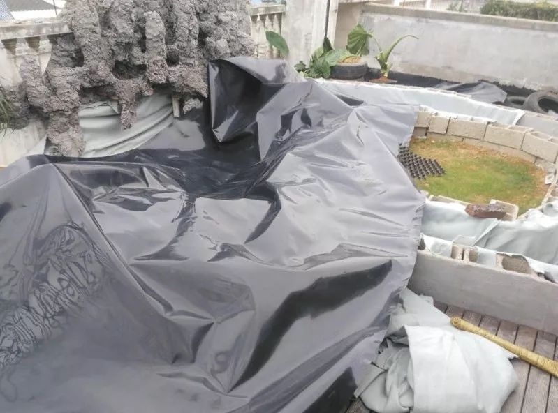 不惑之年,他自己动手建了一座楼顶花园,养花种菜喂鱼……-69