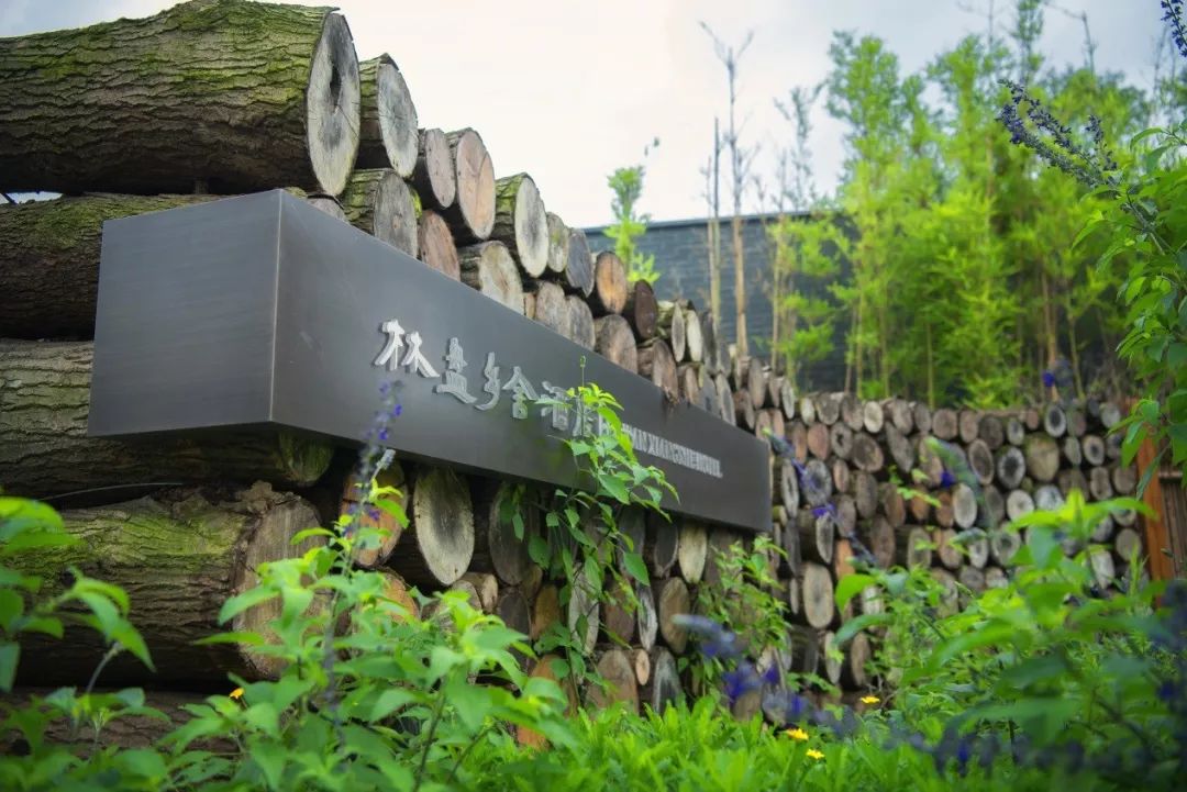 天府林盘·竹韵原乡 | 安仁林盘庄园-120