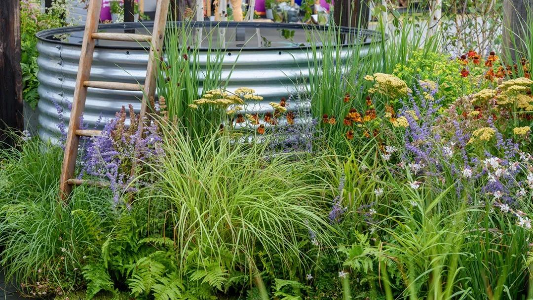 疗愈花园丨英国丨Alan Williams 和 Jo Whiley-17