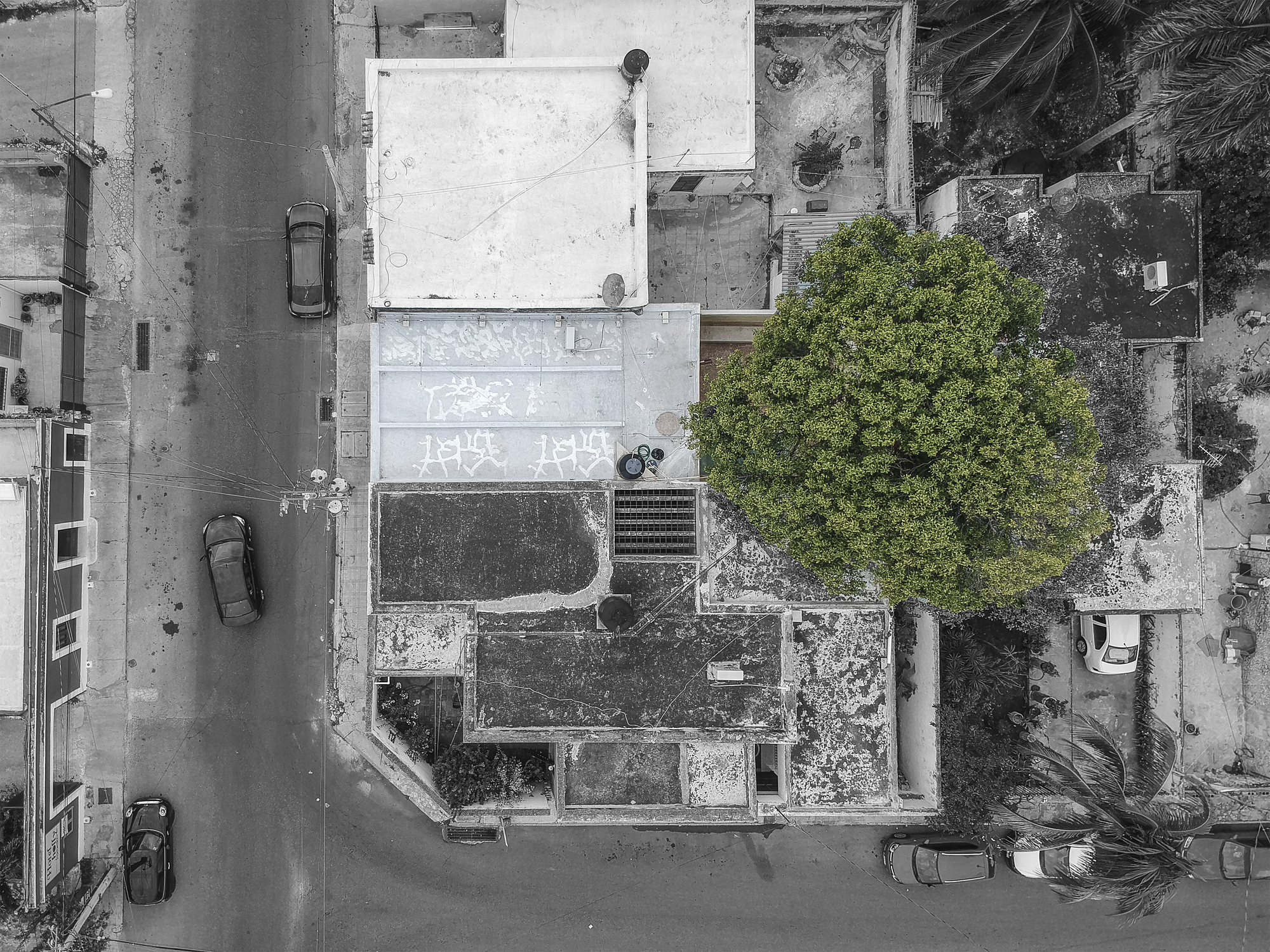 Casa Vagantes / Arista Cero + Gina Góngora-30