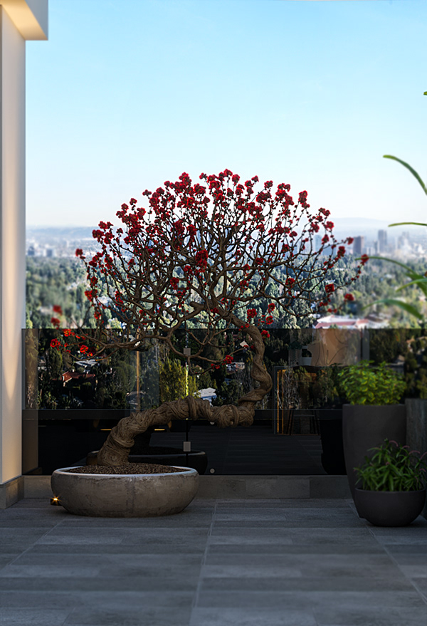 Roof garden (Kuwait city)-2