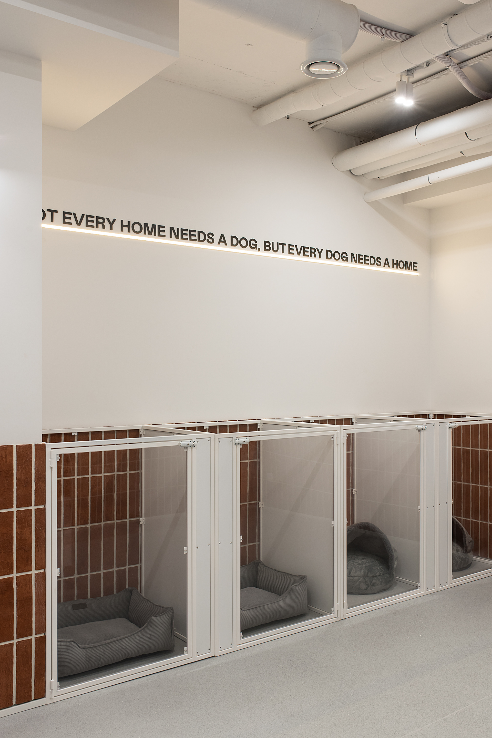 GavRyk丨乌克兰基辅-21