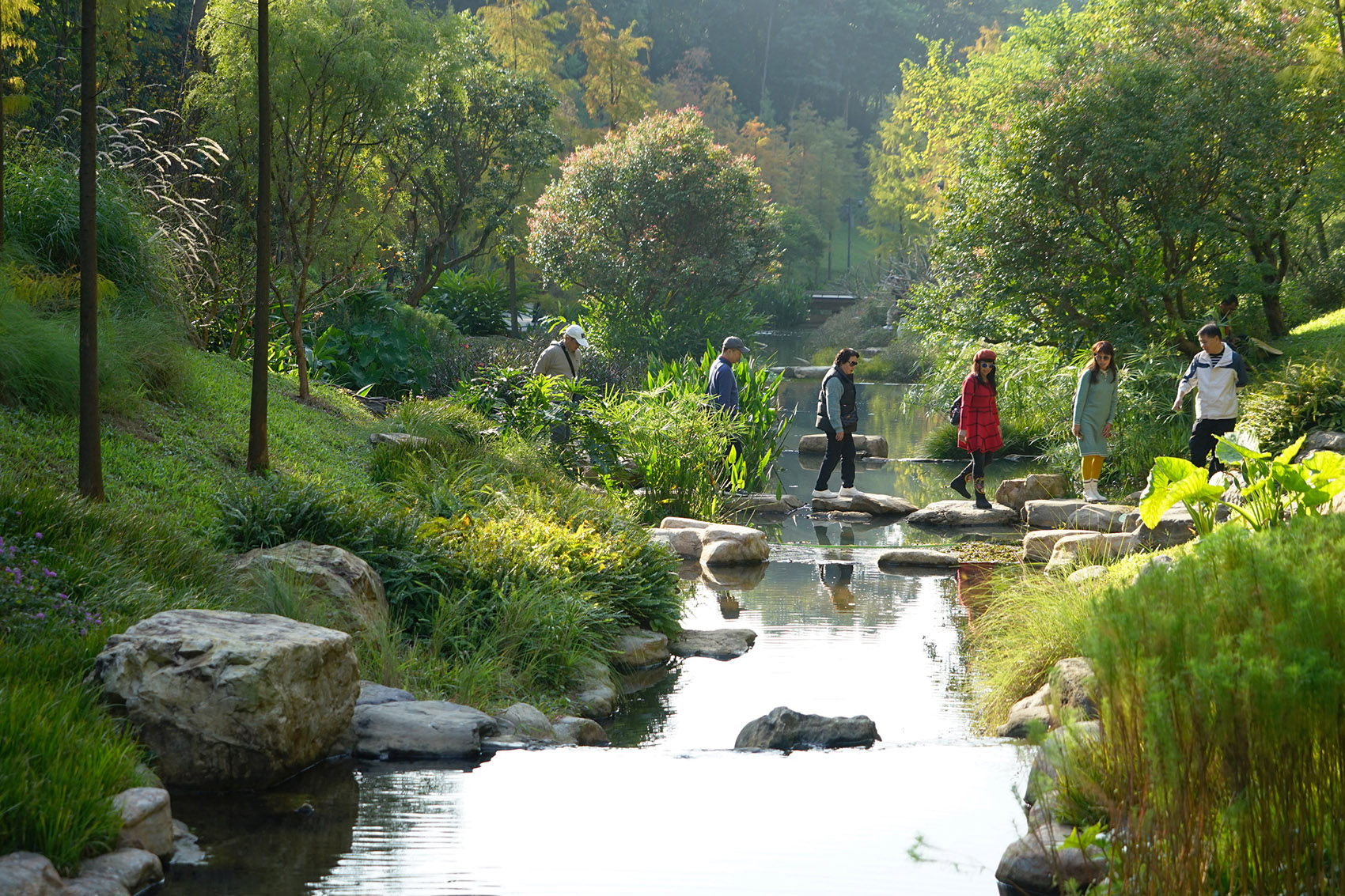 广州云溪植物园环境提升工程整体景观设计丨中国广州丨AECOM,广州园林建筑规划设计研究总院等-20