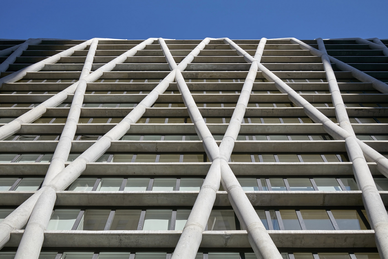 曼哈顿“空中书屋”·菱形树屋建筑-15