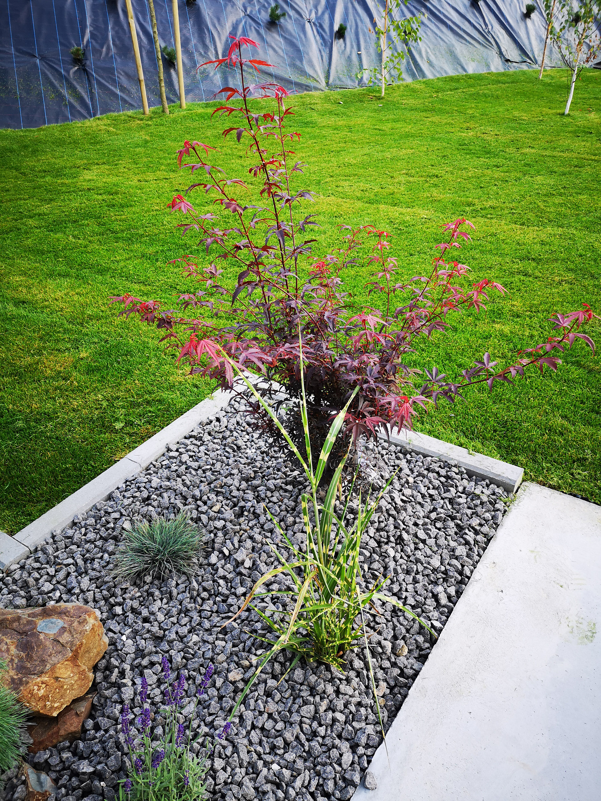 Garden 01 - before and after-9