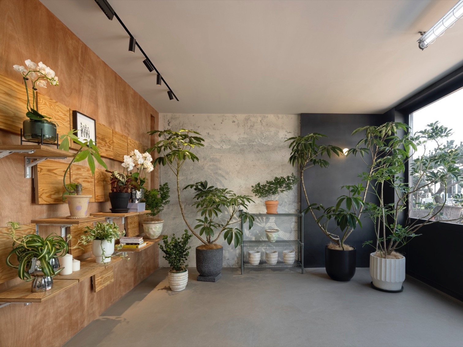 义乌苍仓植物零售空间丨见筑未来-3