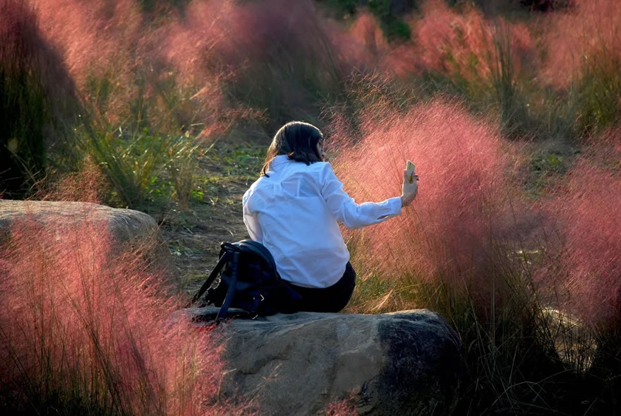 新加坡·南京生态科技岛滨江风光带(大江侧)示范区景观设计项目-36