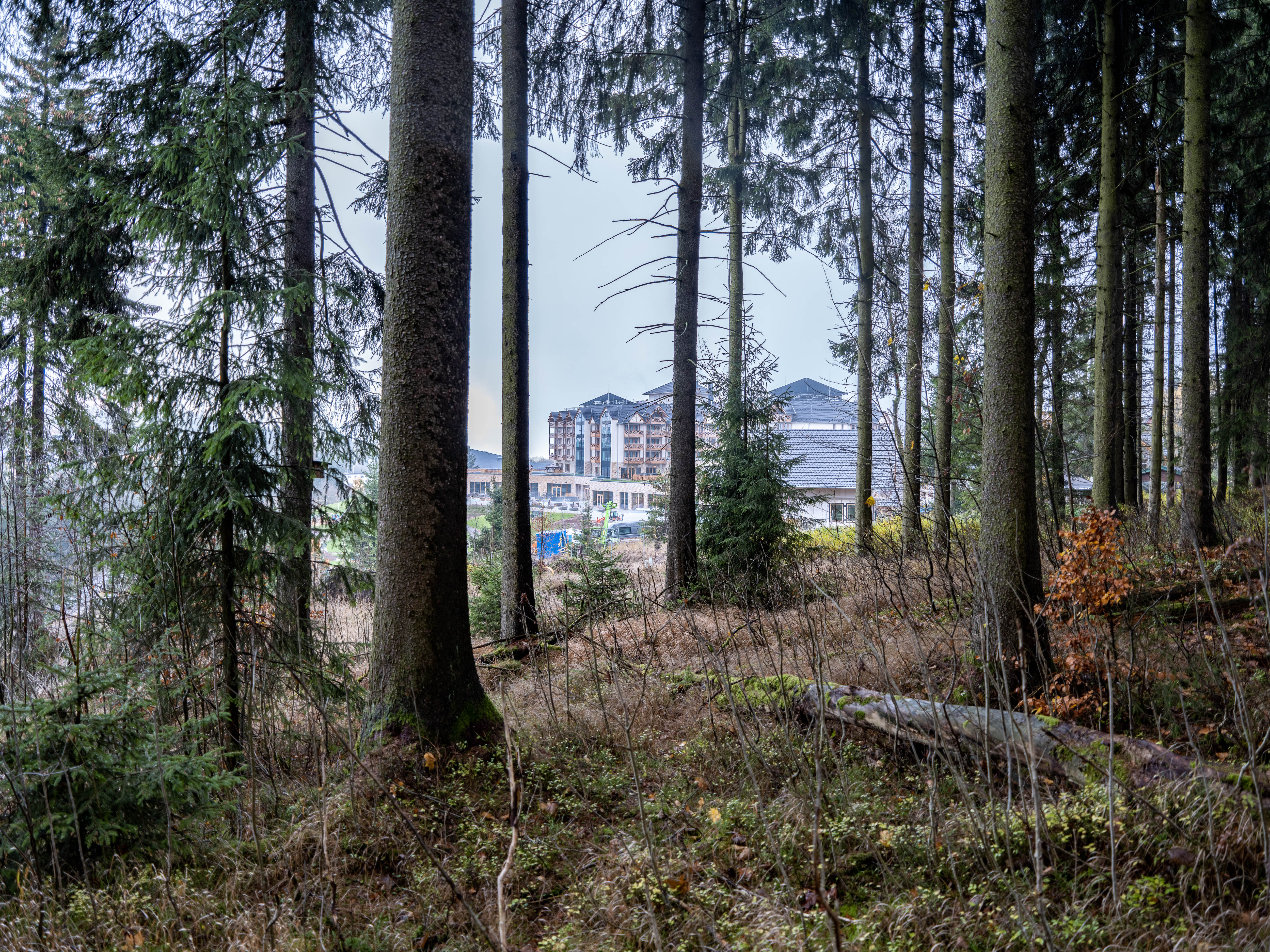 大绿色家庭度假村丨德国丨PAB Architects-65