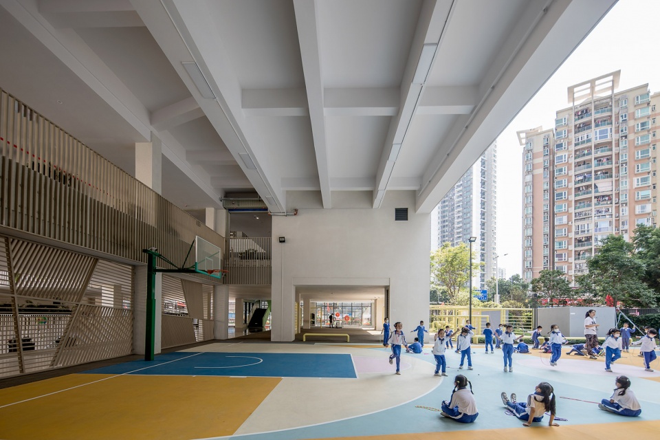 深圳桃园小学 | 高楼林立下的“城市绿洲”-93