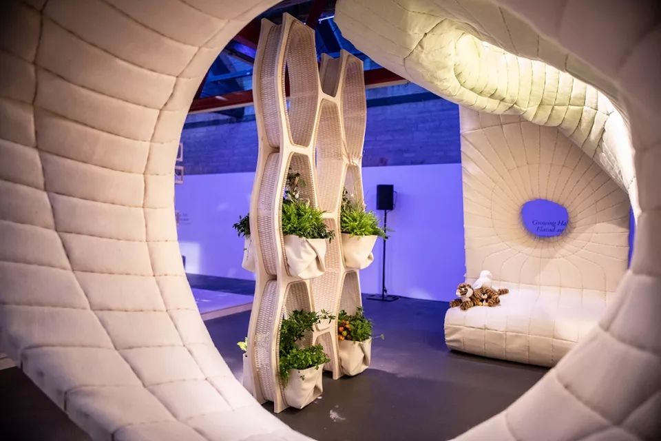 2019 塔林建筑双年展“Beauty Matters”探讨美学体验-50