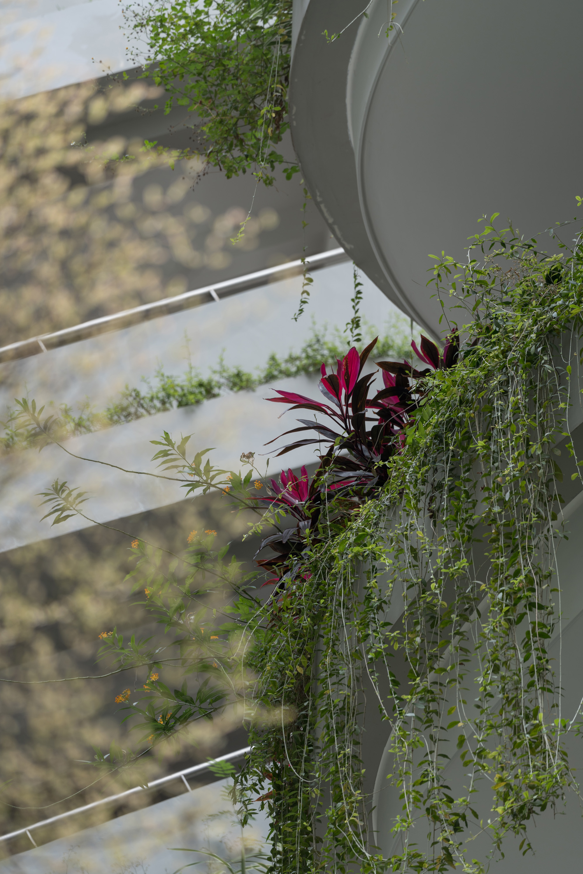 红岭教育集团 华富实验学校丨中国深圳丨大小景观,深圳市建筑设计研究总院有限公司,广州天泓-110