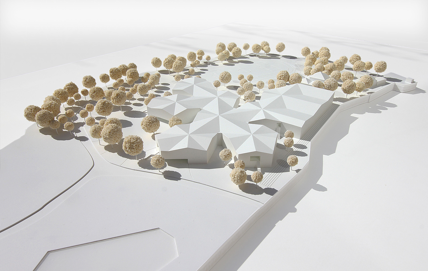 Schule am Kleinen See Eutin 新学校建设项目丨德国丨Mario Torres 等,景观 Nuwela 等-0