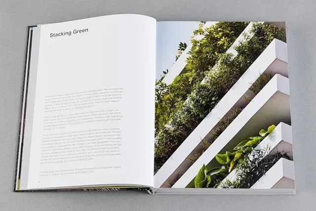 蜜悦·圣托里尼海景度假酒店丨中国惠州丨埂上设计-101