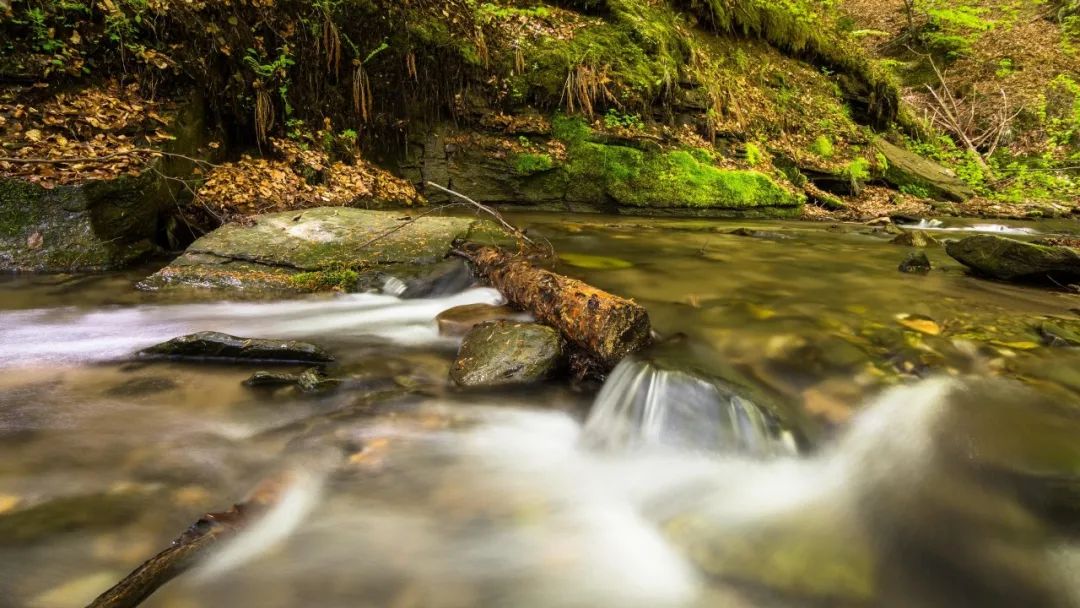 邛崃山水塔城概念规划设计丨中国四川-47