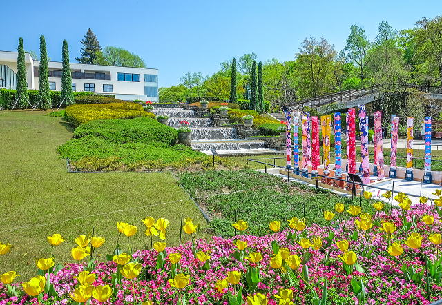 名古屋市东山动植物园之植物园丨日本爱知-34