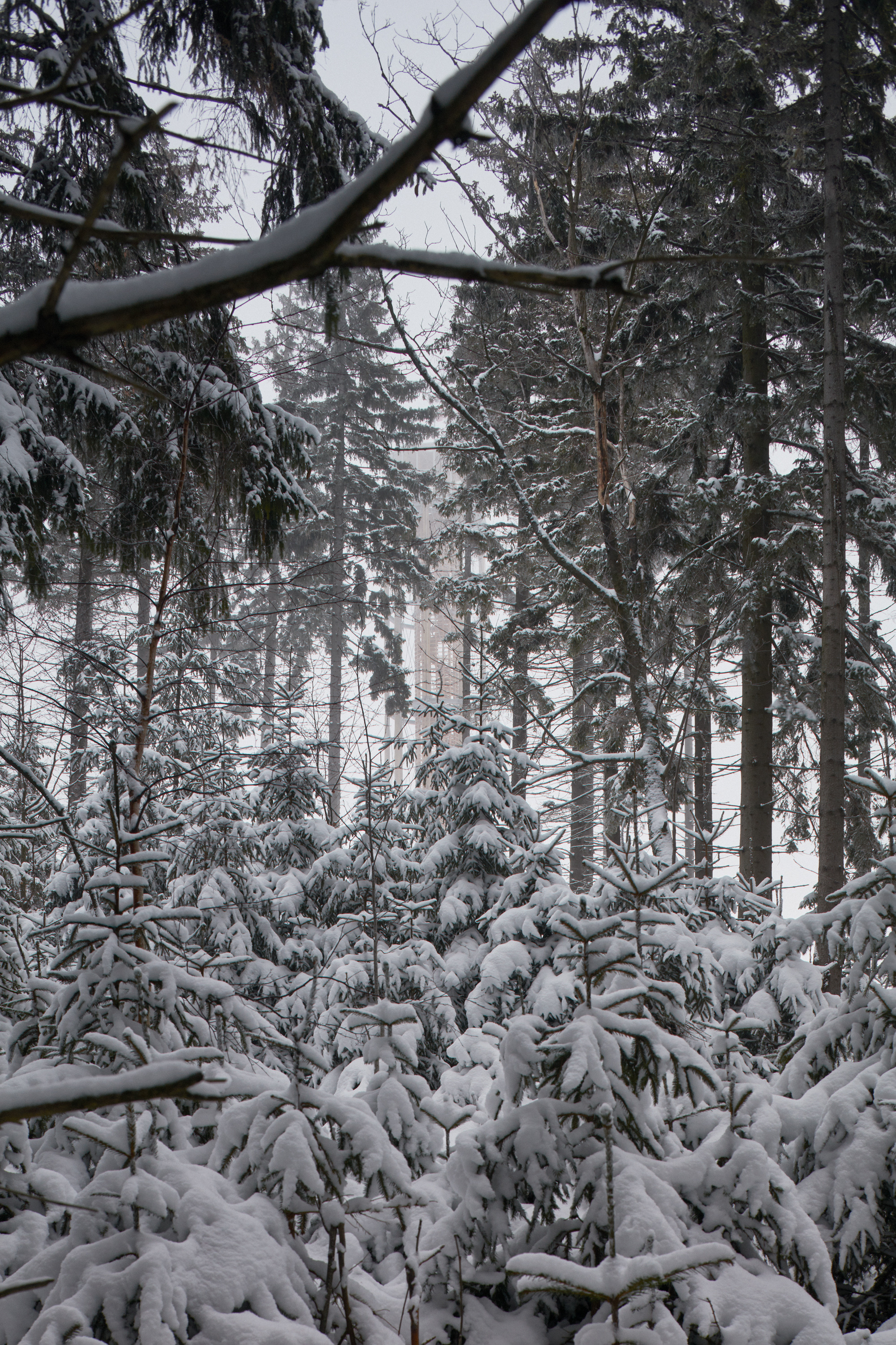 捷克 Kraličák 滑雪胜地观景塔-34