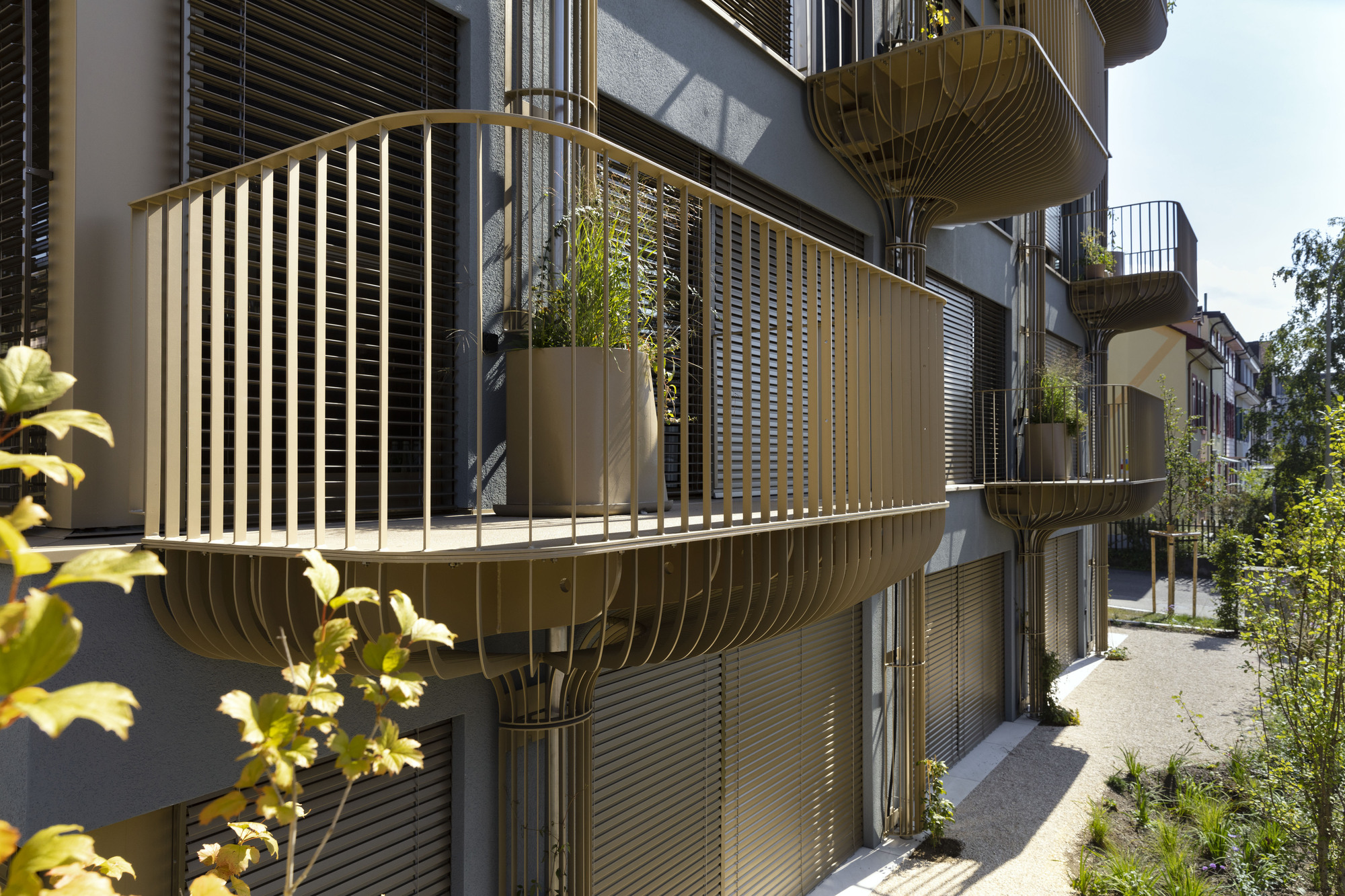 新林登花园大楼丨瑞士丨Volpatohatz-31