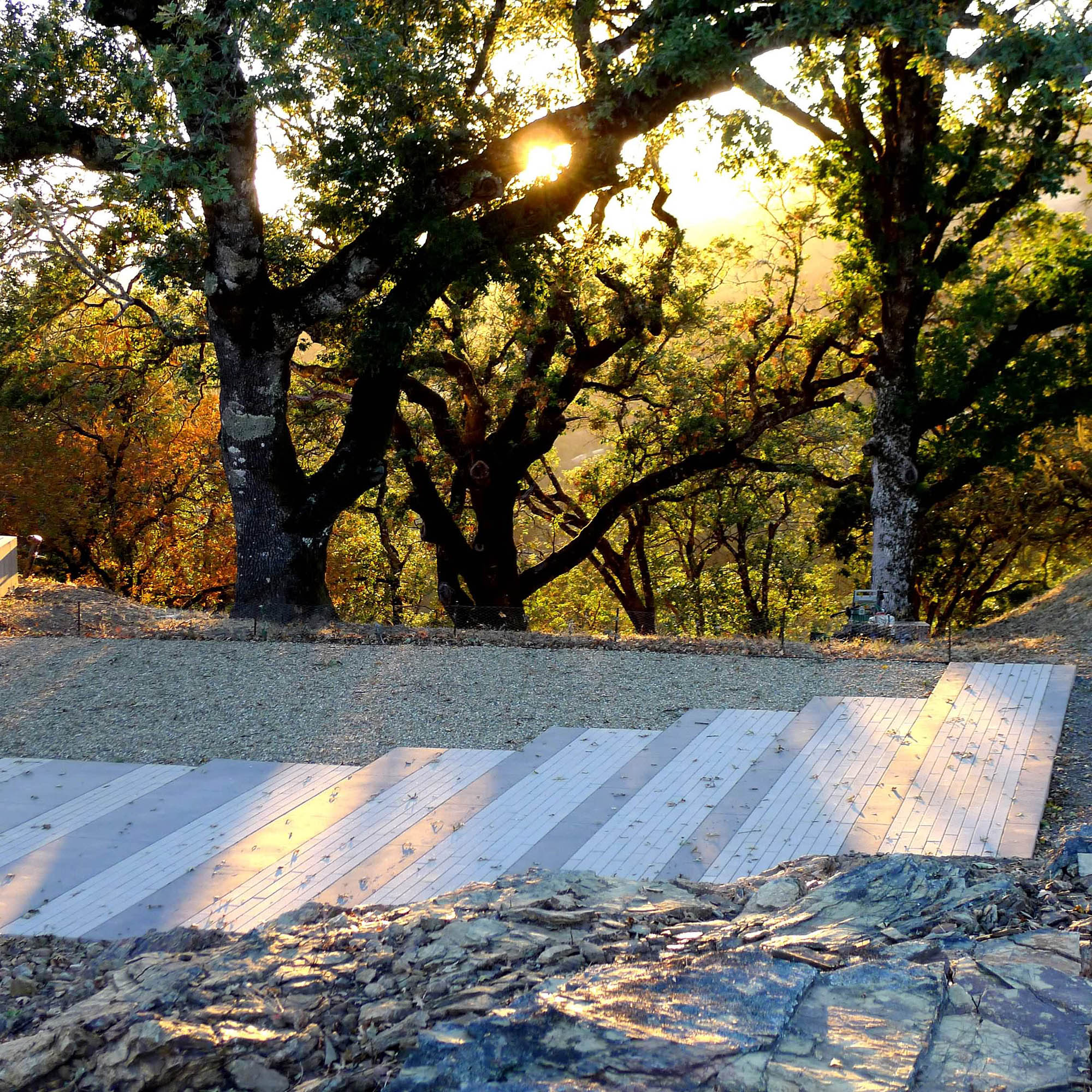 加拿大约克维尔私人住宅-11