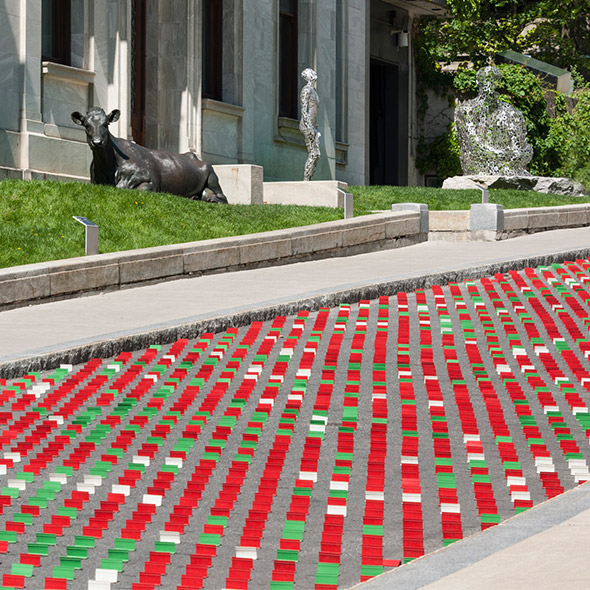 蒙特利尔街头的“向日葵田”丨加拿大蒙特利尔丨TOM II-4