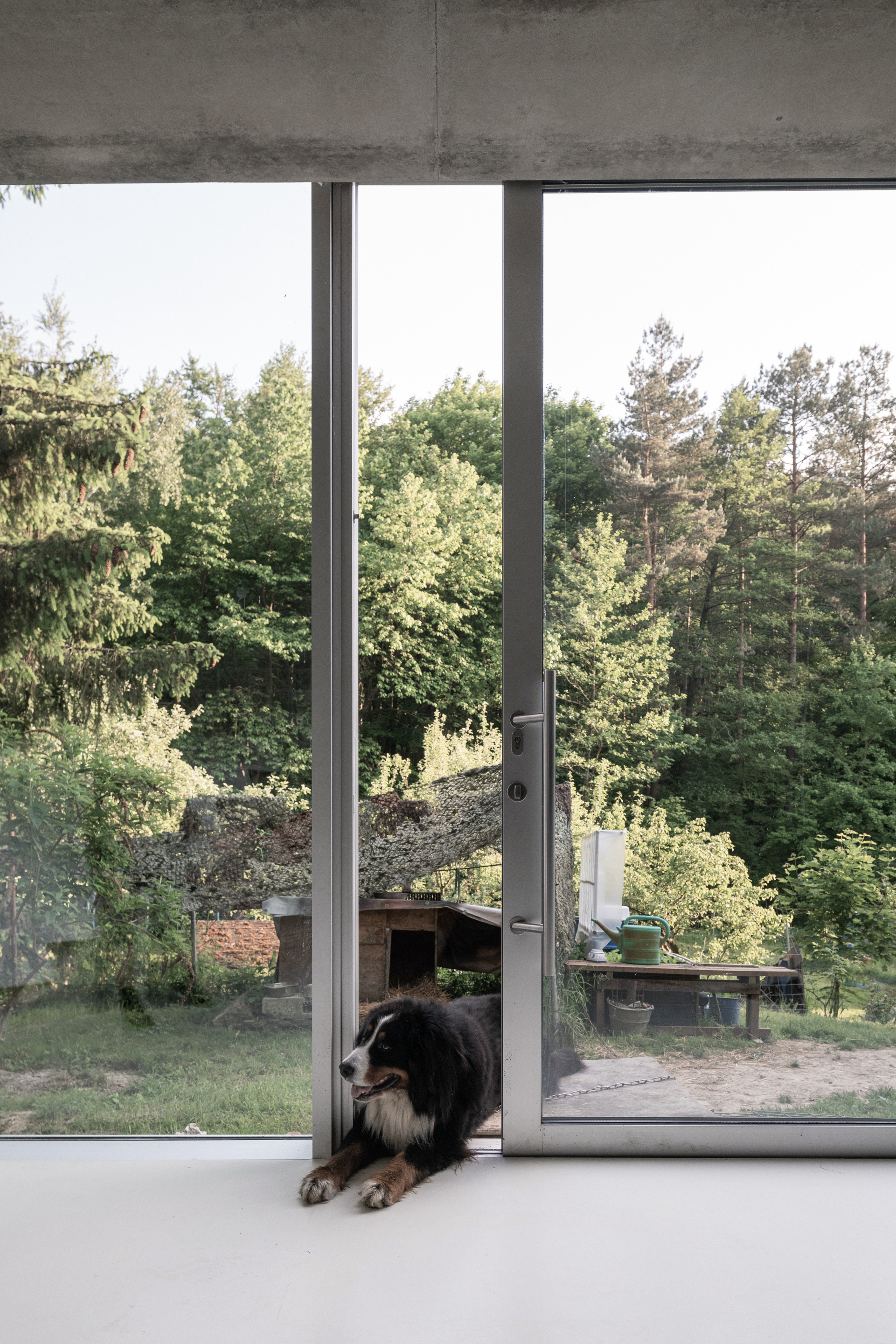 Pernek 家庭住宅丨斯洛伐克丨Studeny architects-33