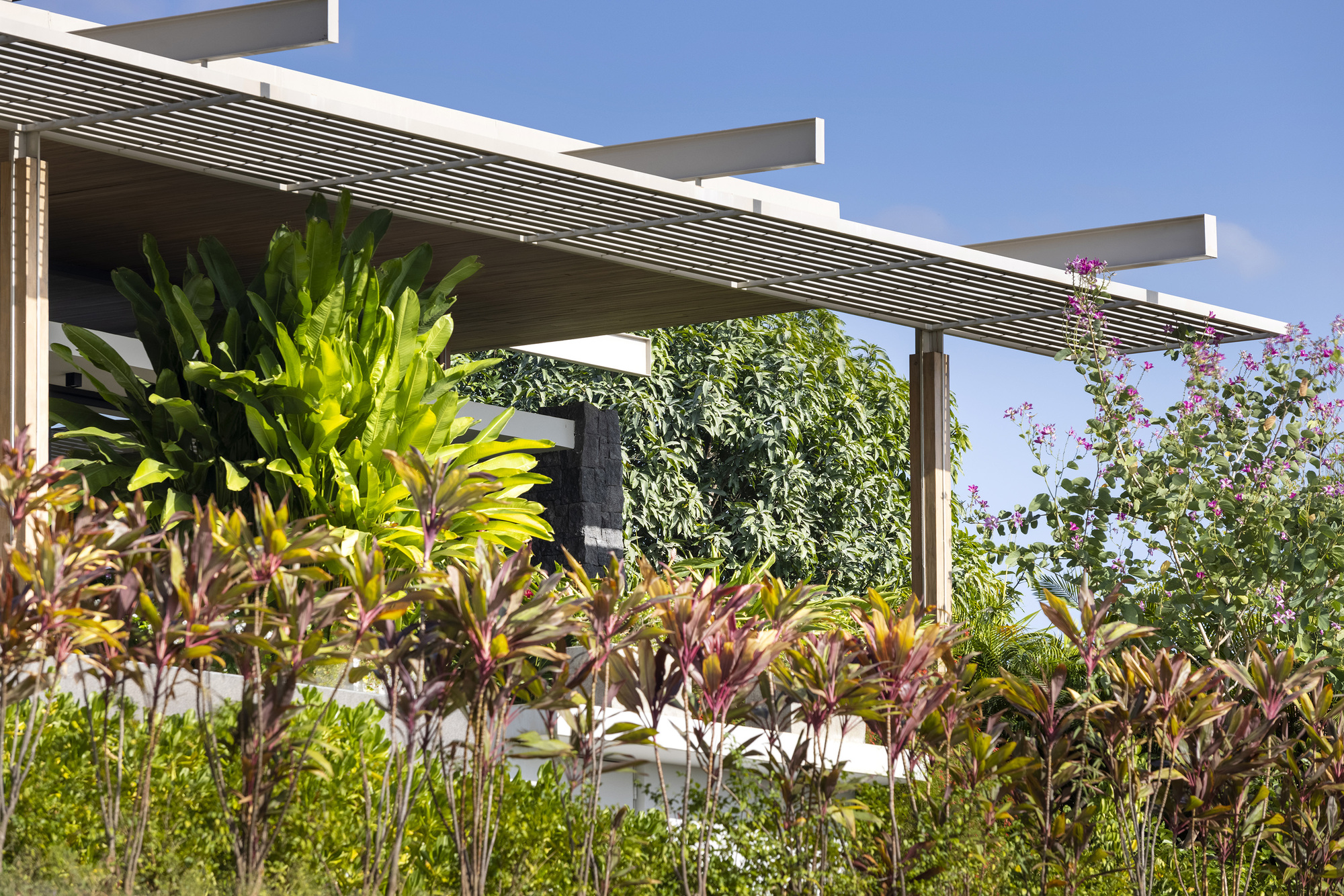 凉棚屋丨哥斯达黎加丨Studio Saxe-15