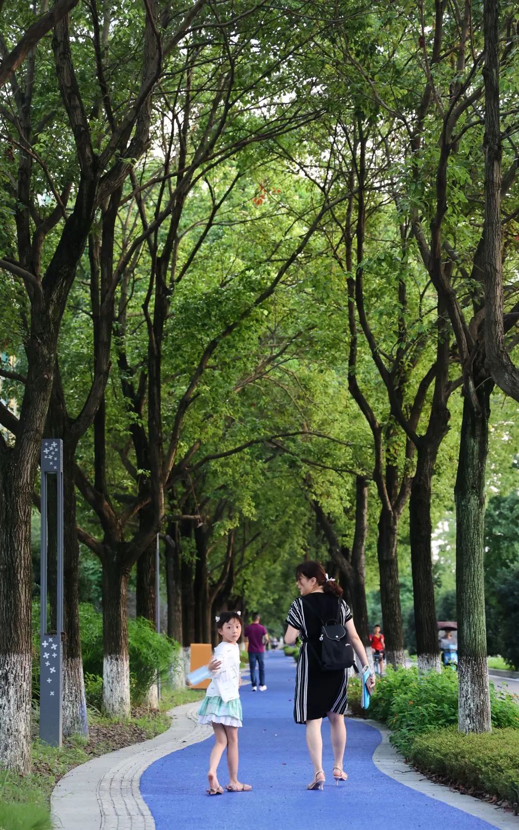 yǒu作品 |  蜀龙大道——公园城市街道一体化践行-59