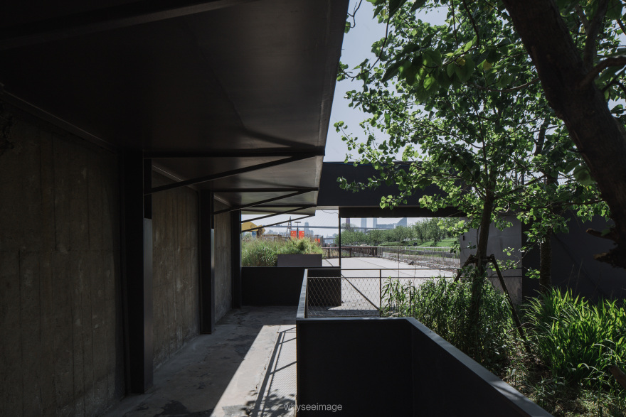 边园丨中国上海丨大舍建筑-25